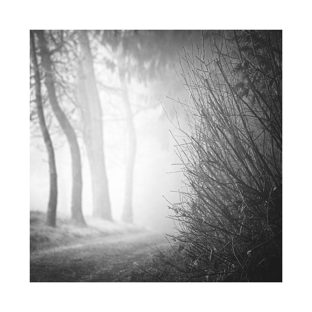 Neue Prints